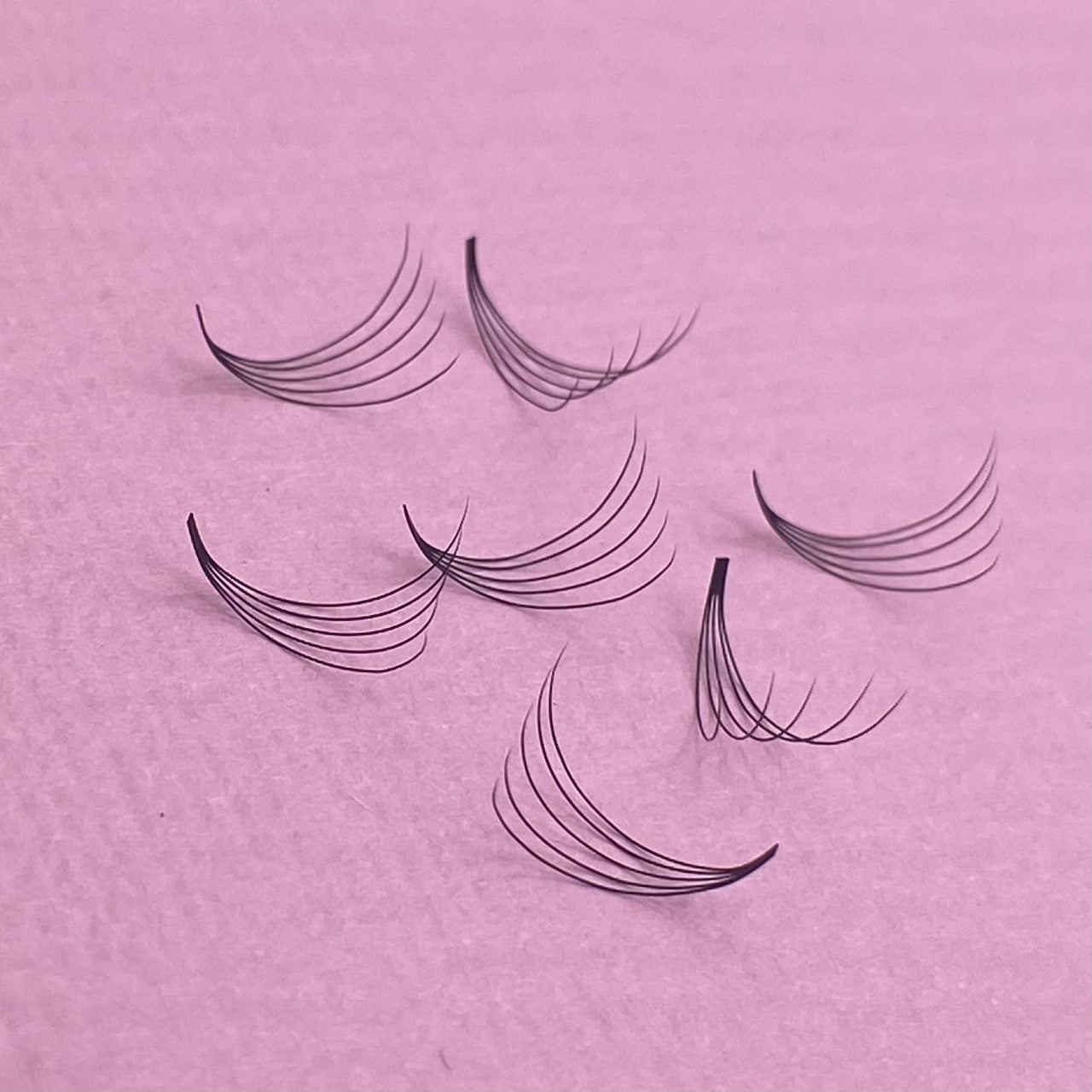 5D 0.07 Premade Small Lash Tray image 2