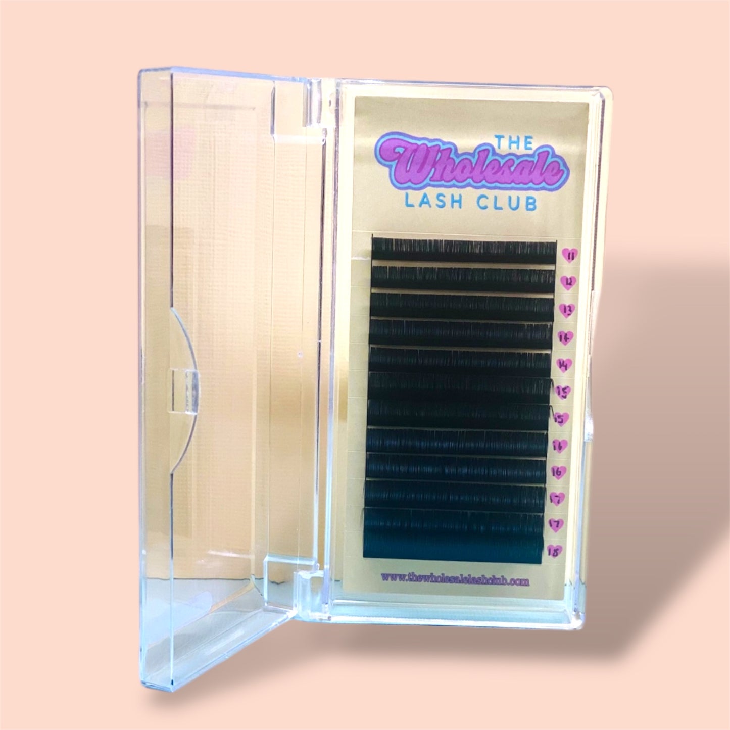 Handmade Spikes Volume Lash Tray image 0