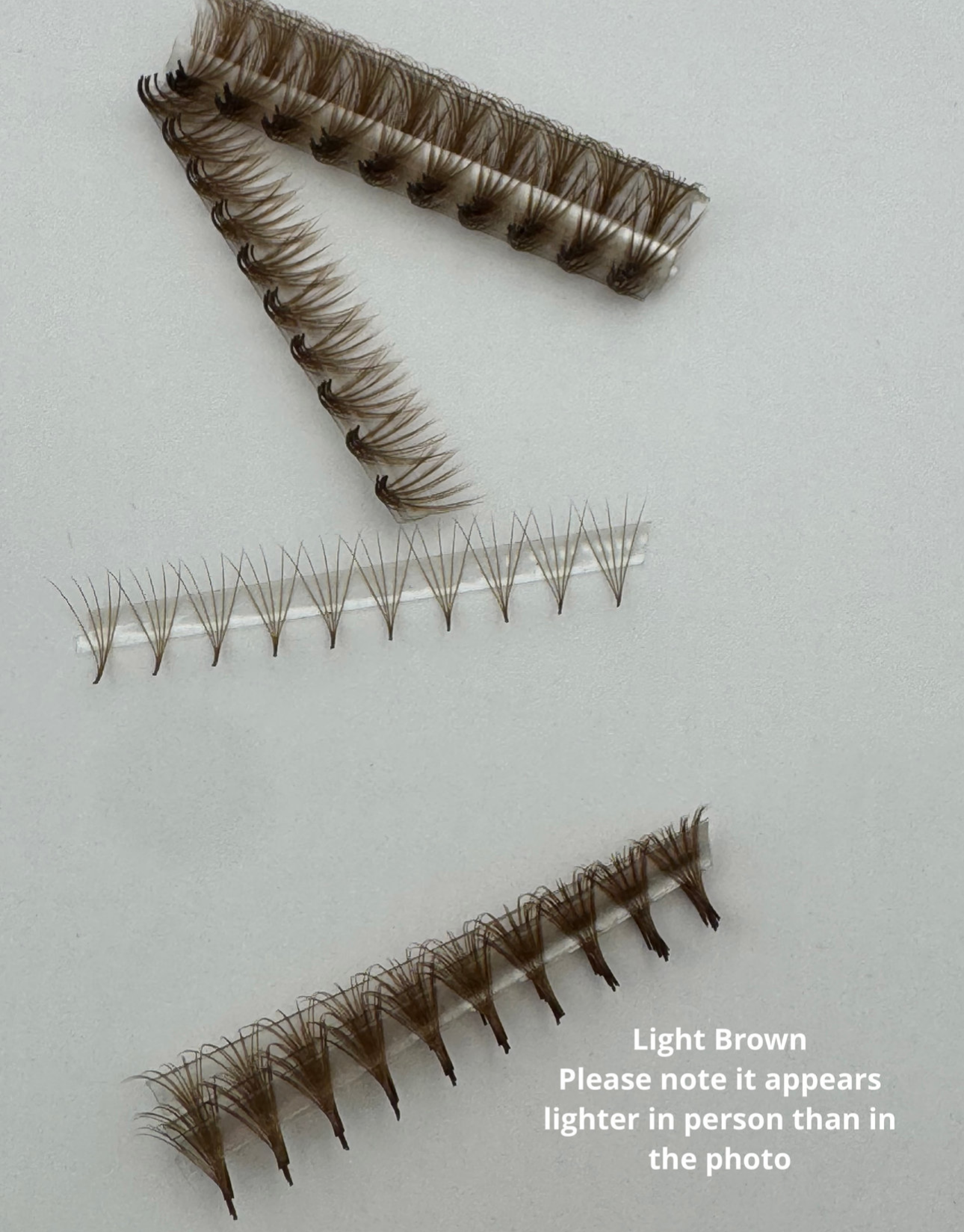 Brown 5D 0.07 D Curl Promade Lash Tray | Light & Dark Available