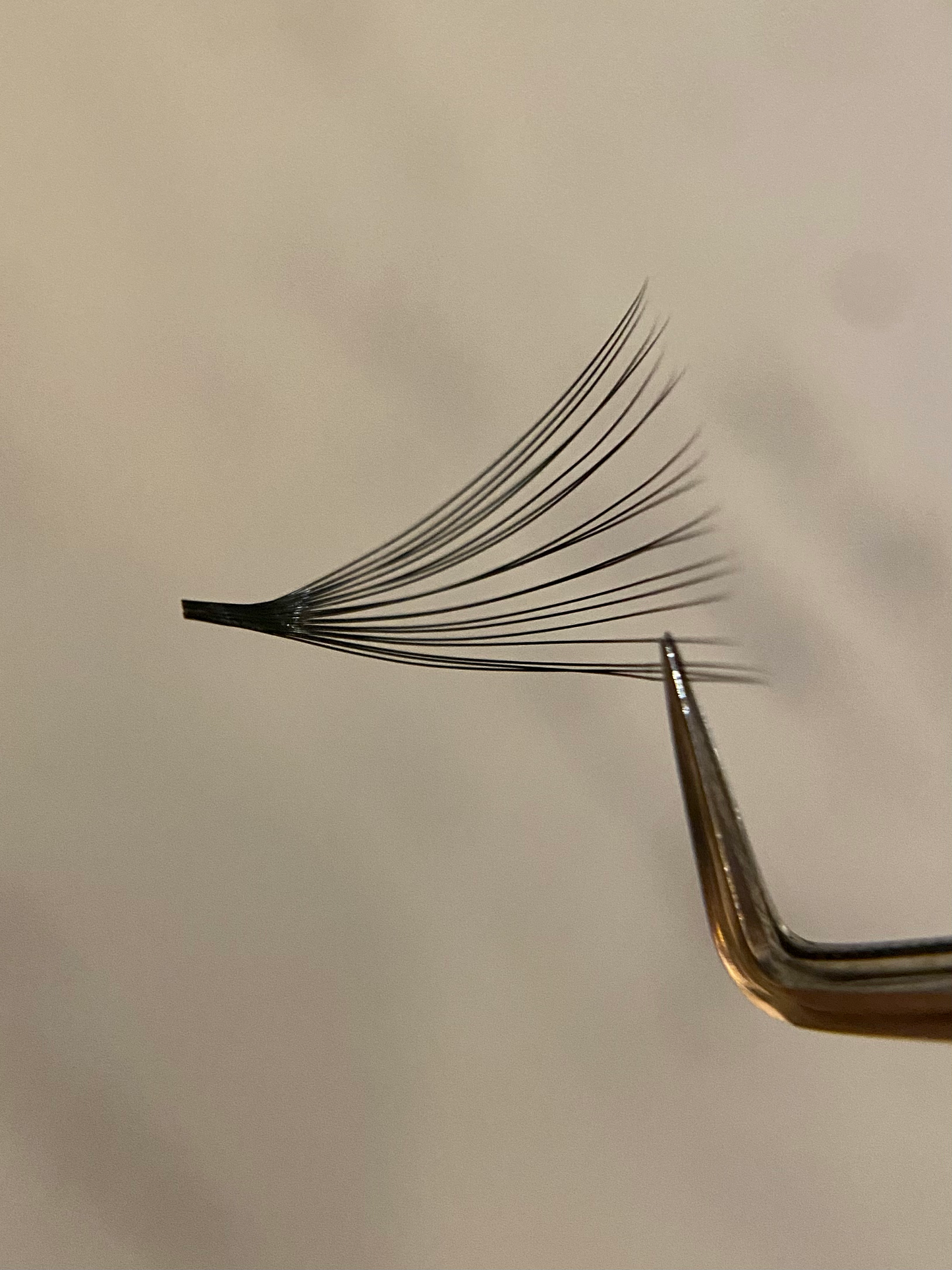 20D 0.03D Curl Premade Lash Tray image 1