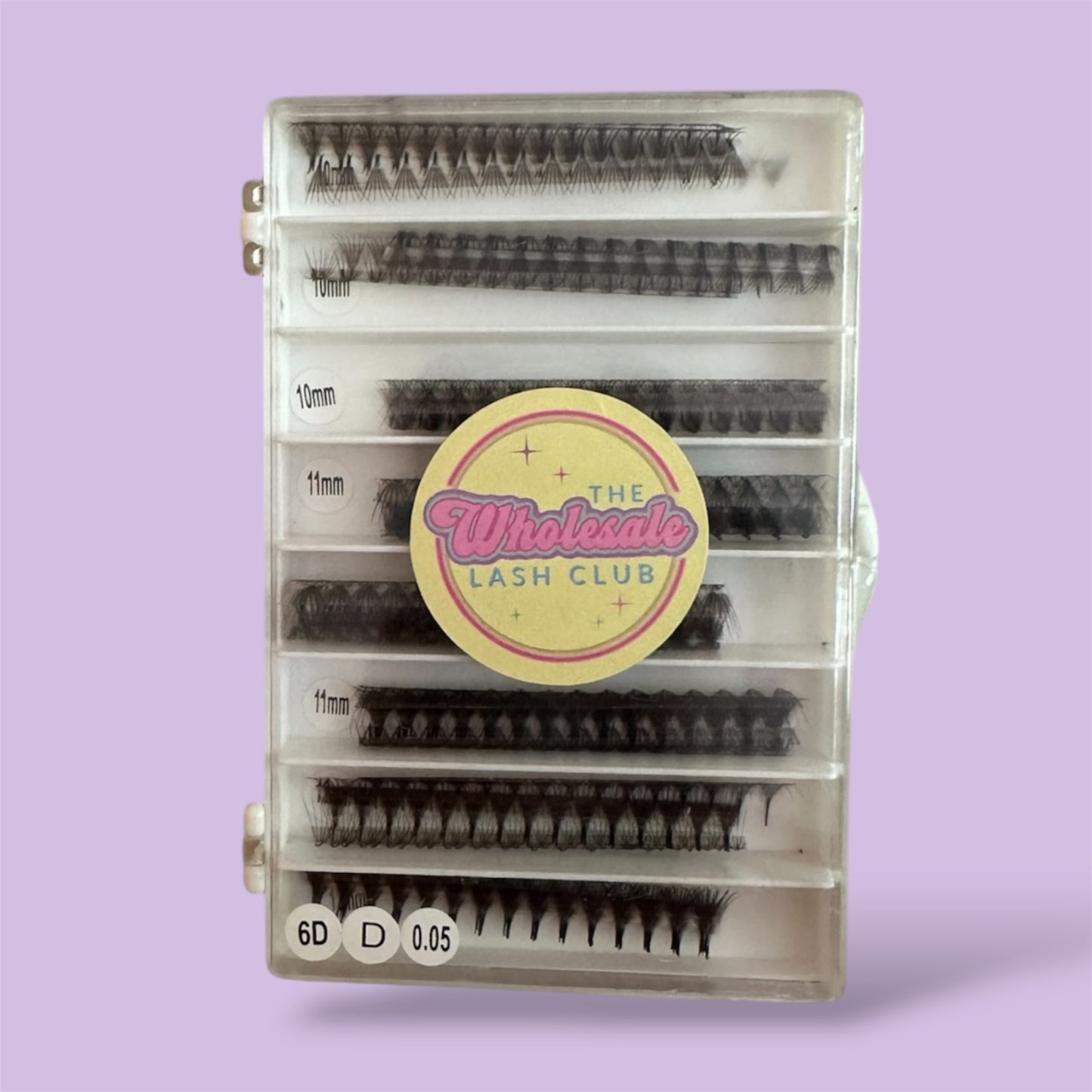 6D 0.05D Curl Mix Promade Lash Tray image 0