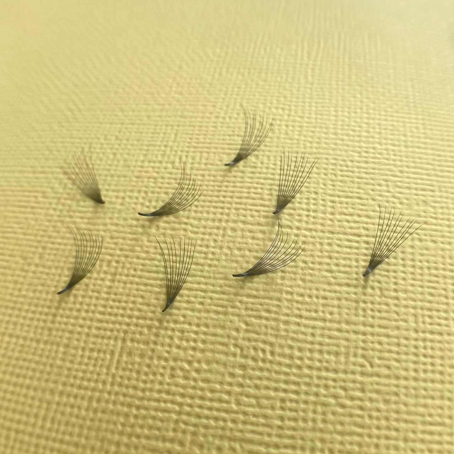10D 0.05D Curl Pointy Premade Small Lash Tray image 2