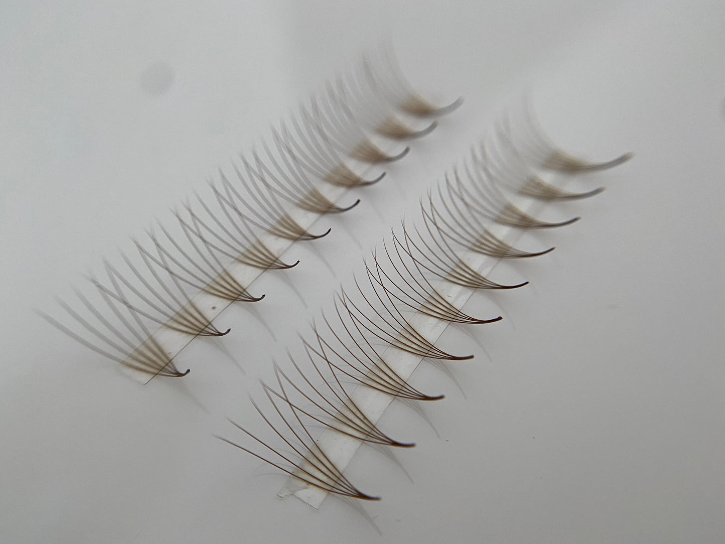 Dark Brown 5D 0.07 D Curl Promade Lash Tray image 1