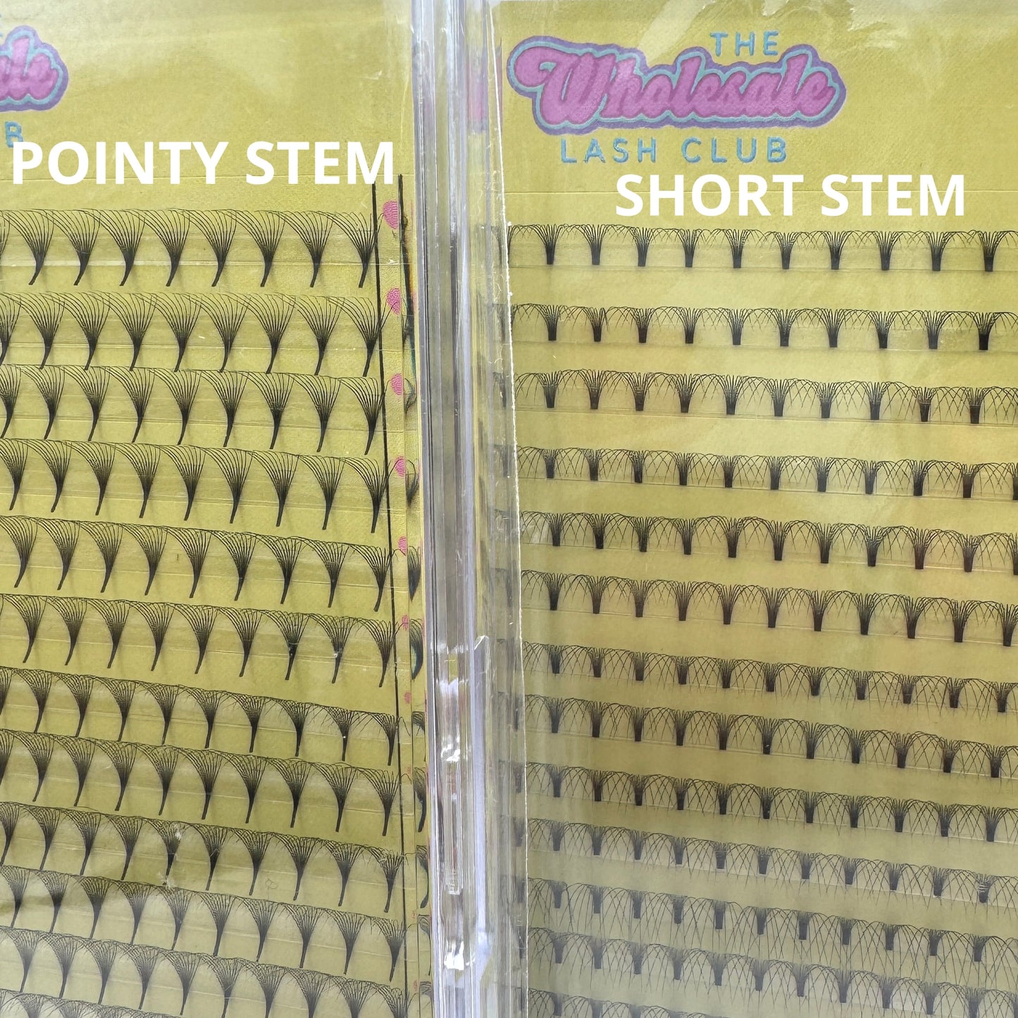 10D 0.05 Premade XL Lash Trays - Short & Pointy Stems image 1