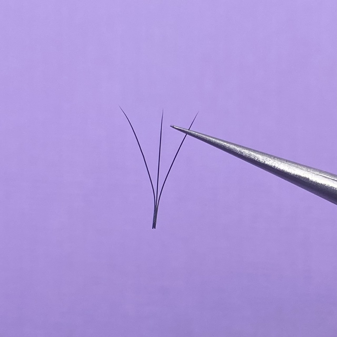 3D 0.10 Promade Lash Tray image 2