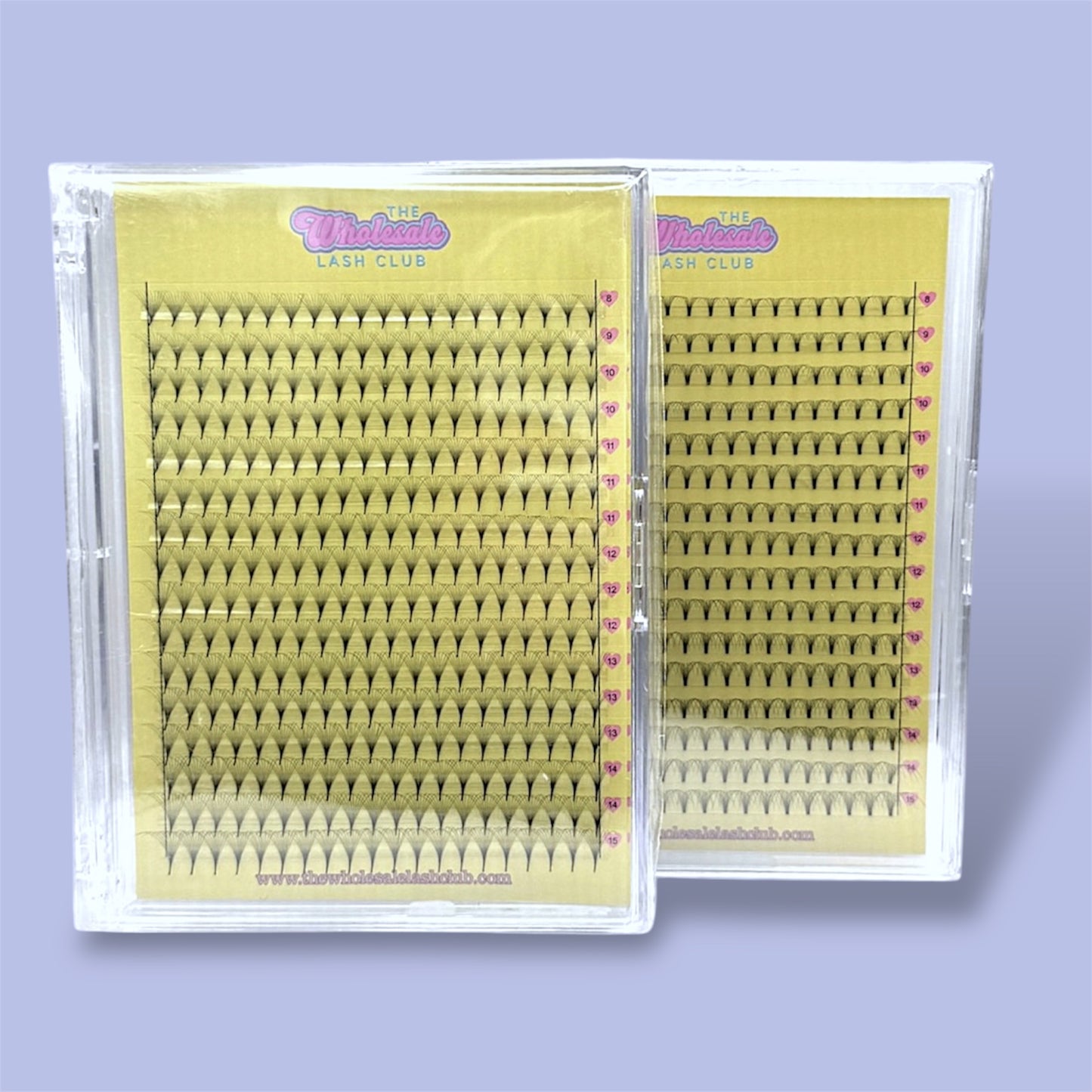 10D 0.05 Premade XL Lash Trays - Short & Pointy Stems image 0