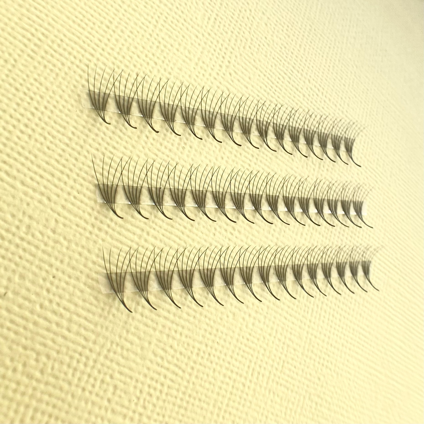 5D Promade Lash Tray image 1