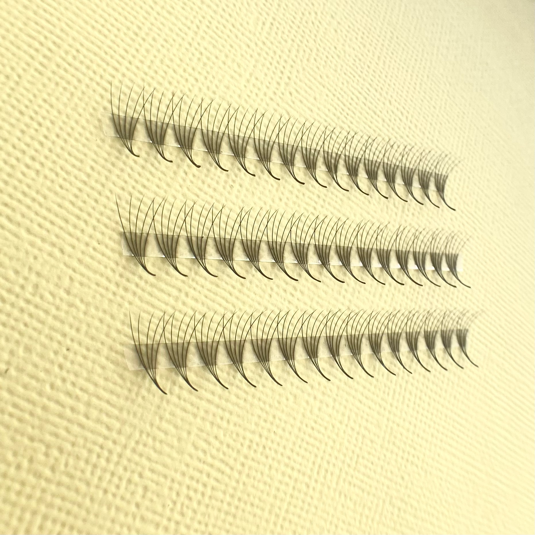 5D Promade Lash Tray image 1