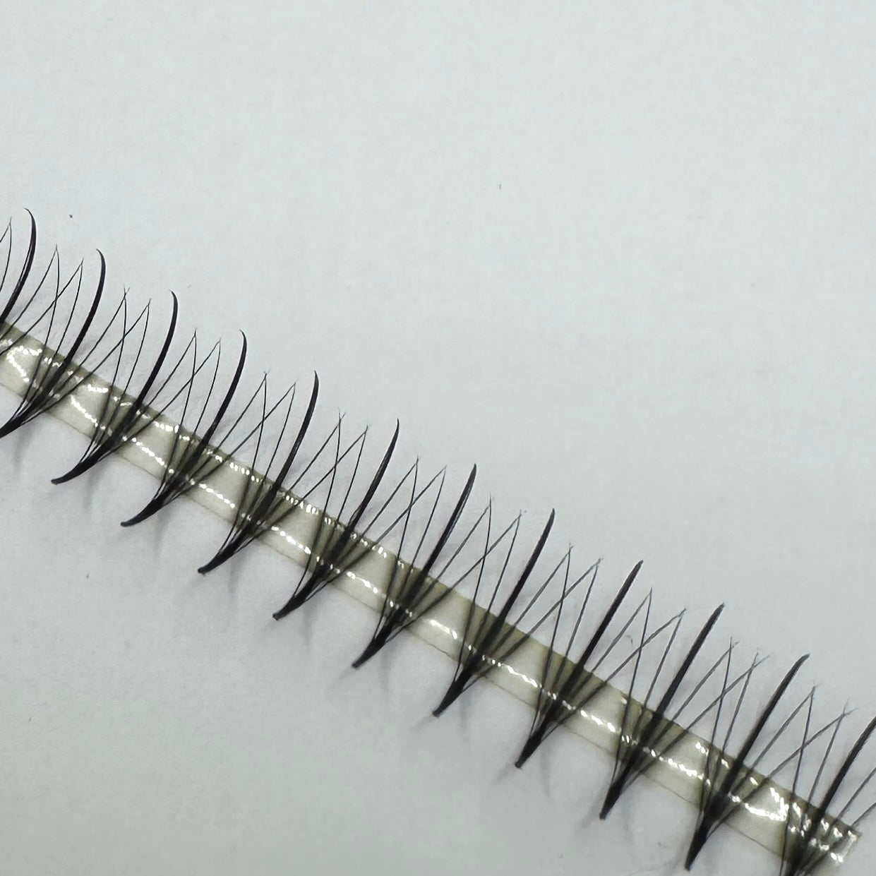 5D 0.07D Curl Wispy Mix Promade Tray image 1