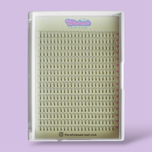 6D 0.05D Curl Premade XL Lash Tray image 0