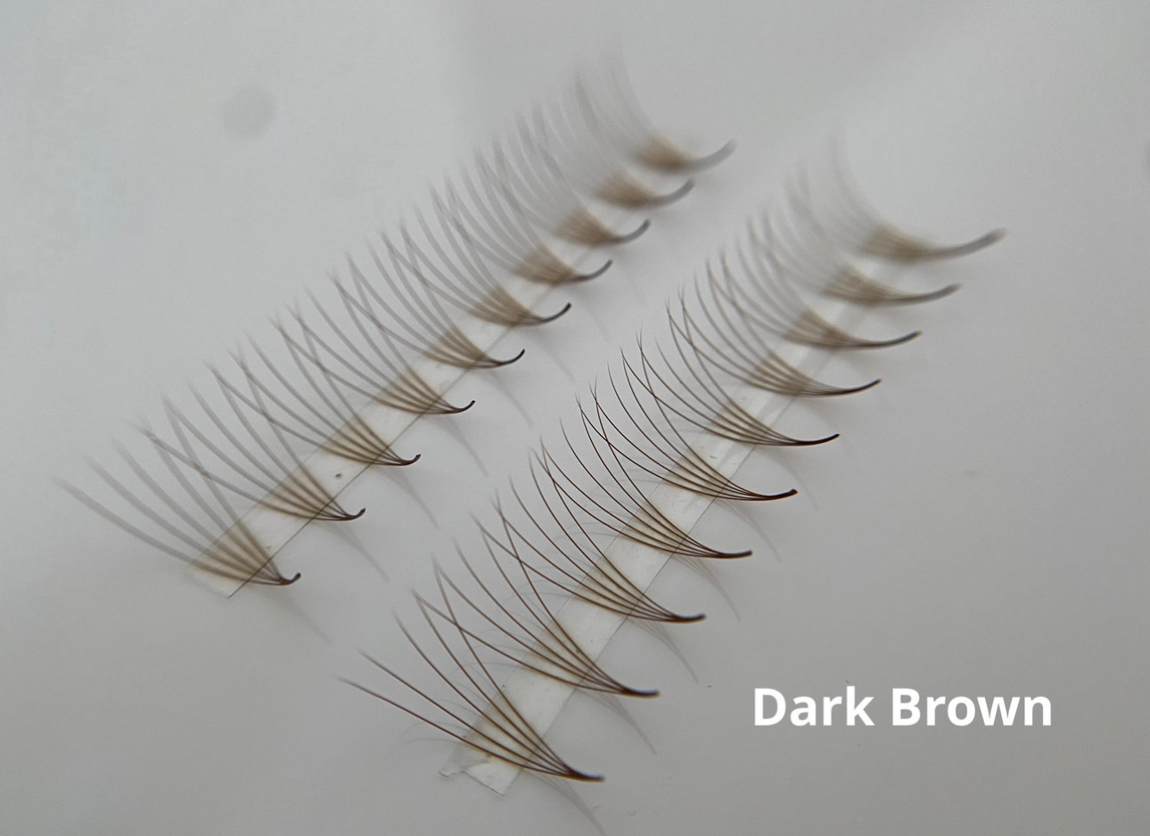 Brown 5D 0.07 D Curl Promade Lash Tray | Light & Dark Available