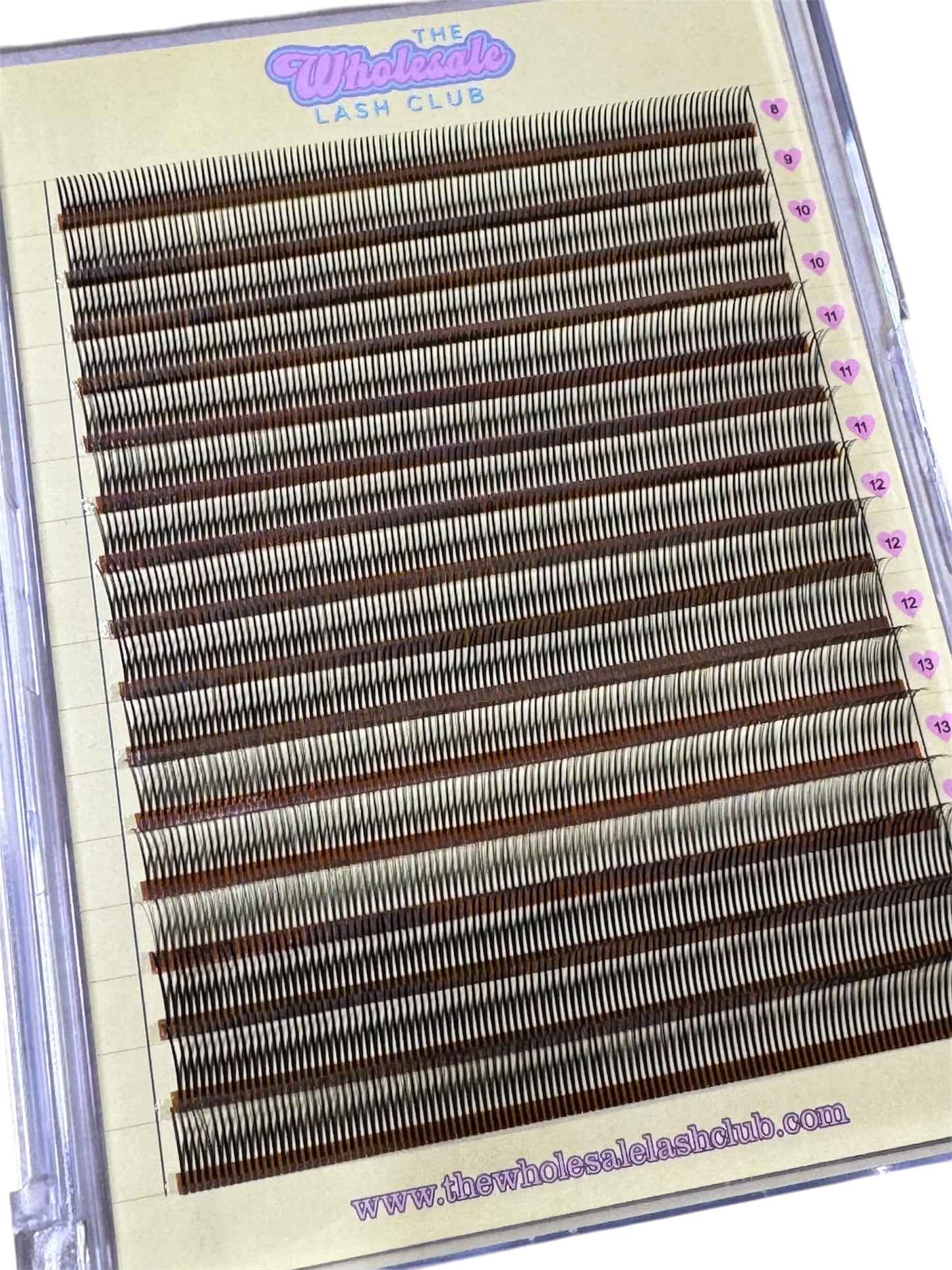 Angel Wet Look Pre-made Spikes Lash XL Tray C Curl Mixed