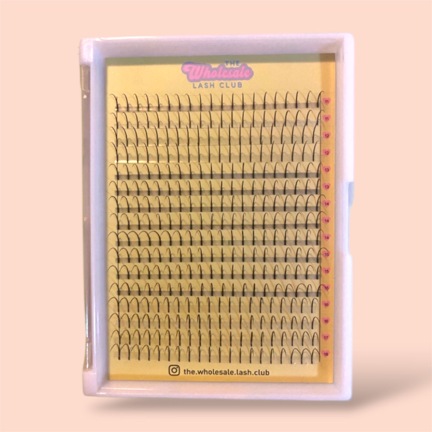 Premade Spikes D Curl Mix XL Lash Tray image 0