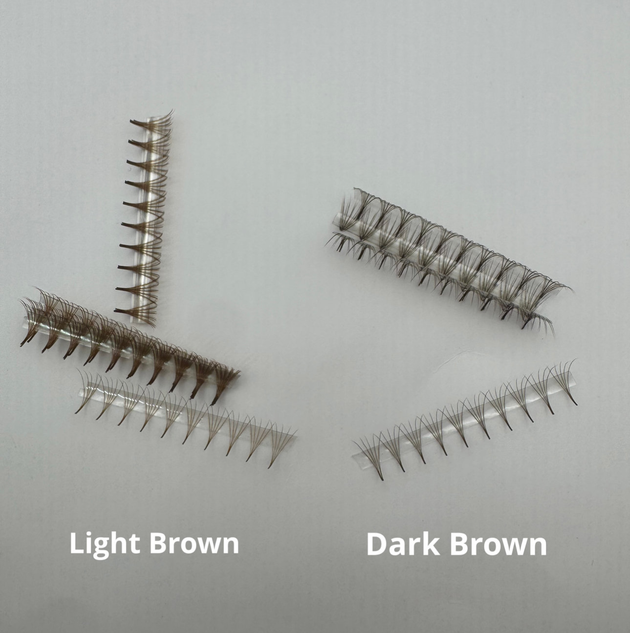 Brown 5D 0.07 D Curl Promade Lash Tray | Light & Dark Available