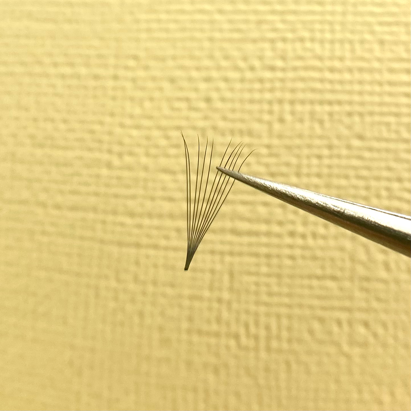 10D 0.05D Curl Pointy Premade Small Lash Tray image 1