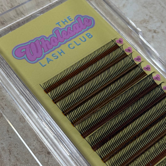 Angel Wet Look Pre-made Spikes Lash Mixed Tray
