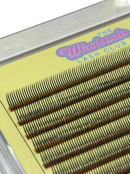 Angel Wet Look Pre-made Spikes Lash XL Tray C Curl Mixed