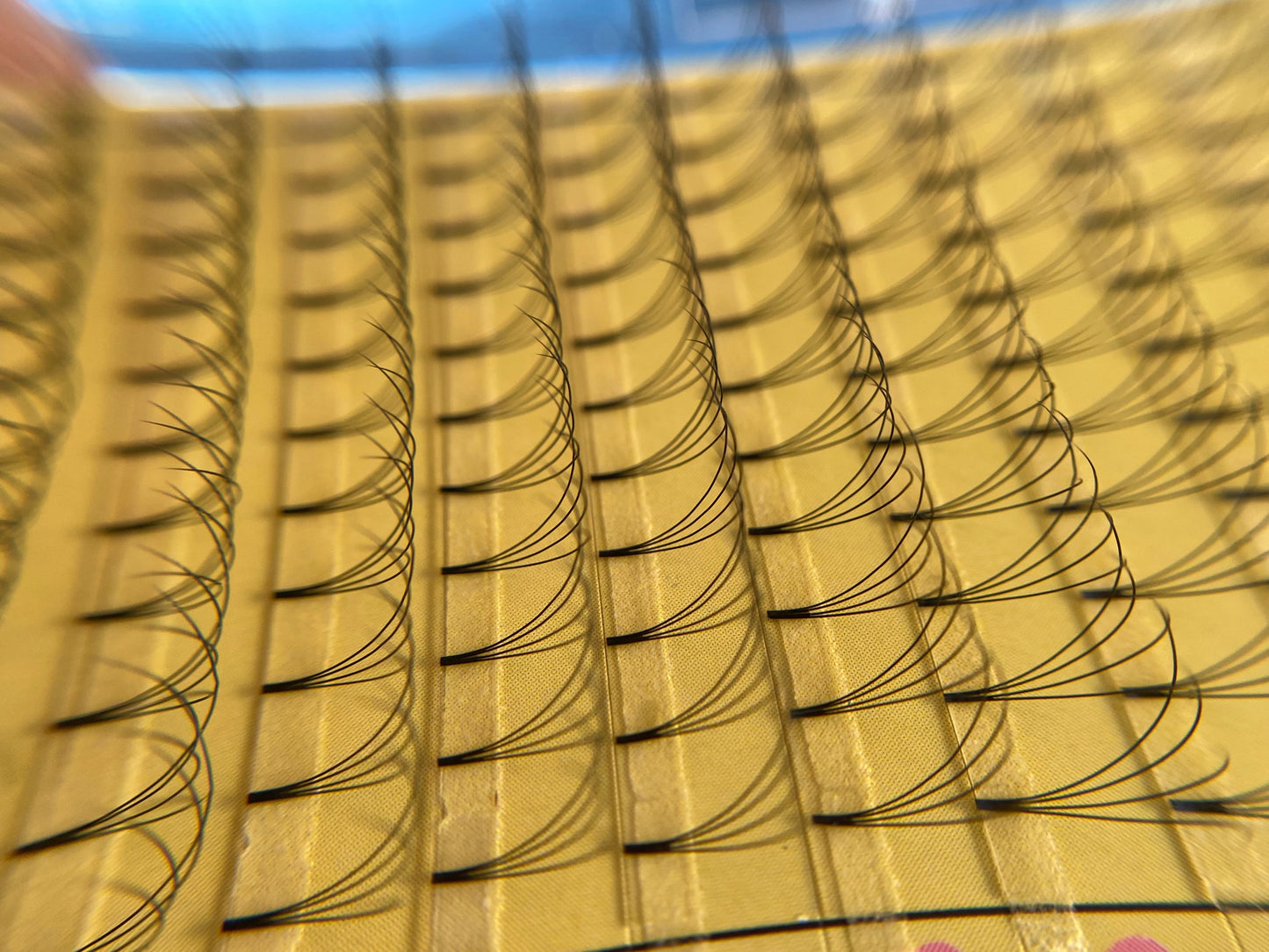 4D Premade XL Lash Tray image 2