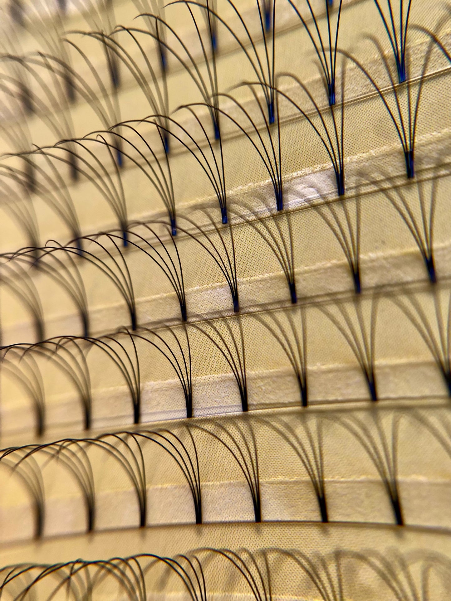 4D Premade XL Lash Tray image 1