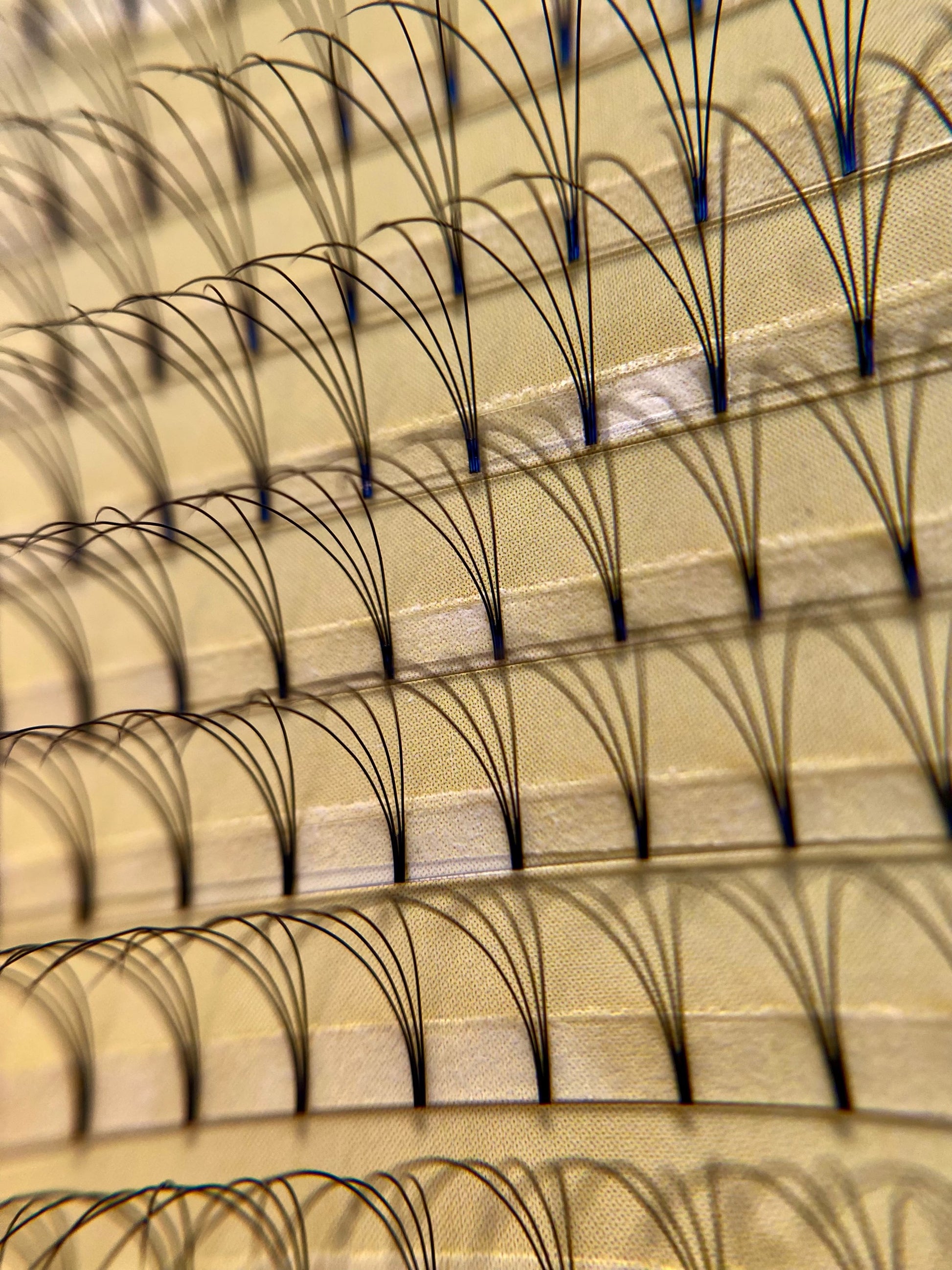 4D Premade XL Lash Tray image 1