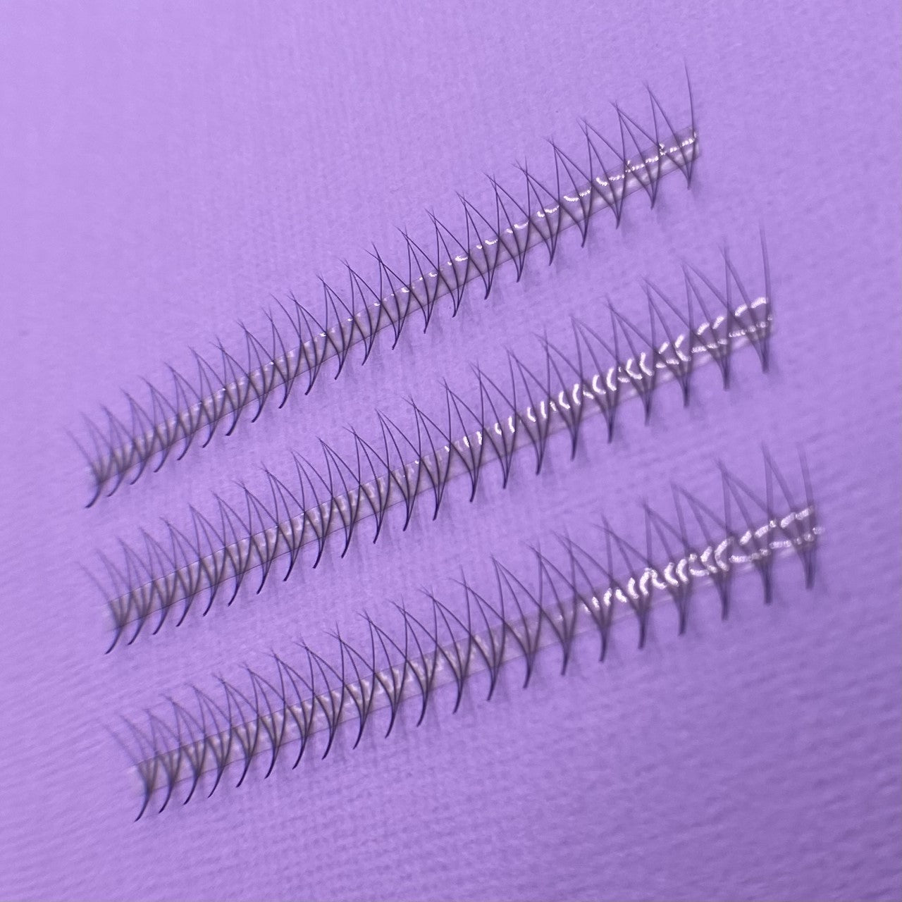 3D 0.10 Promade Lash Tray image 1