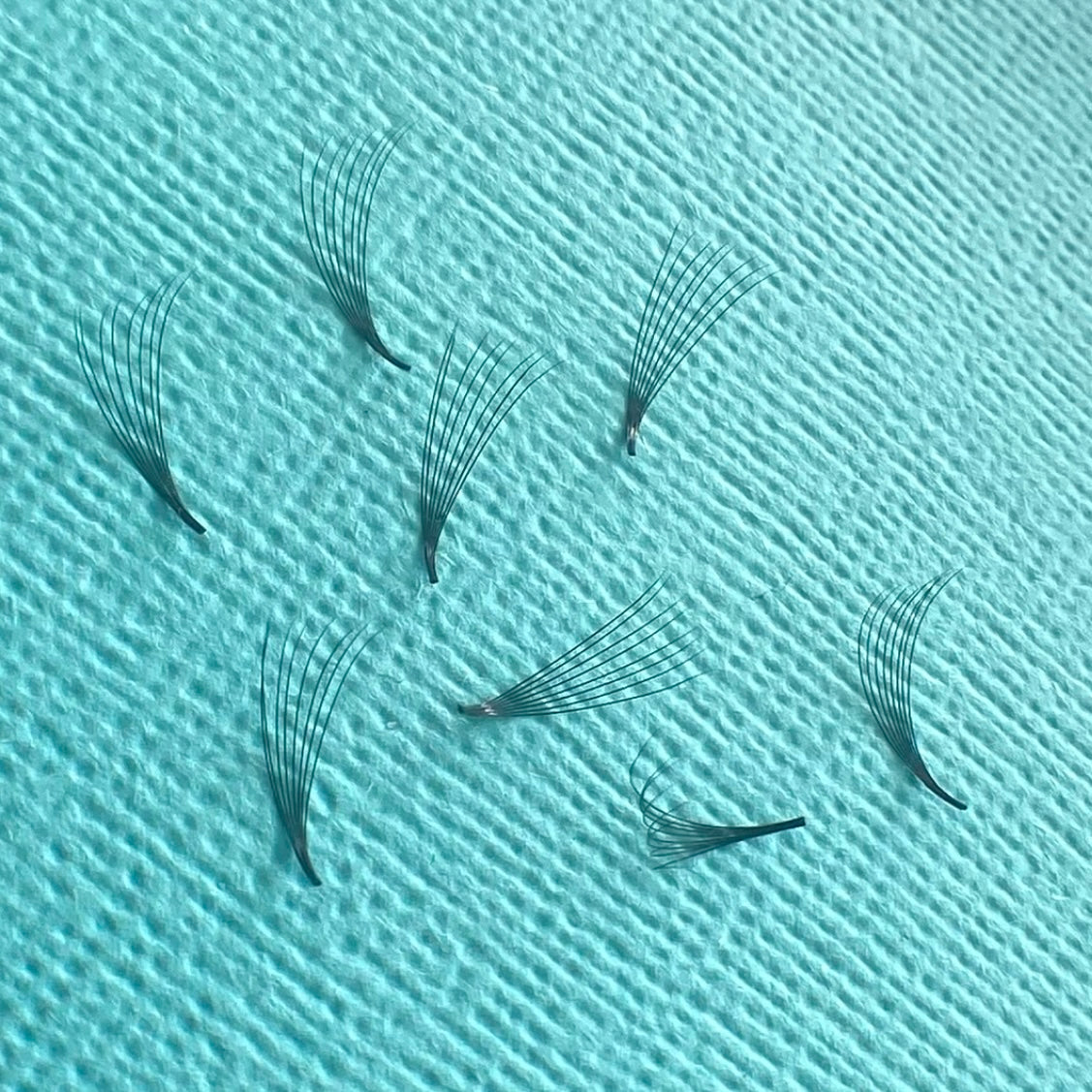 8D 0.05D Curl Premade XL Lash Tray image 1