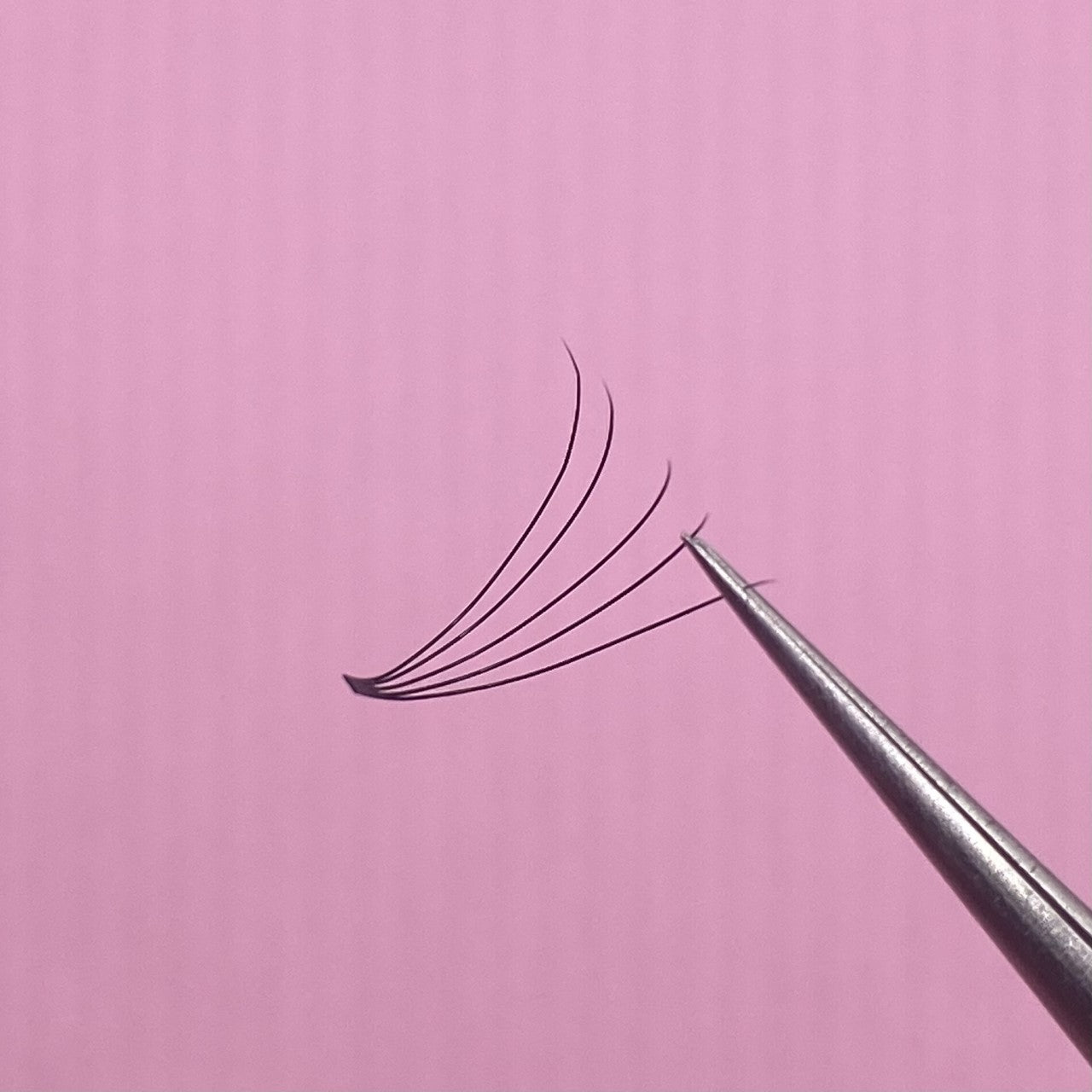 5D 0.07 Premade Small Lash Tray image 1