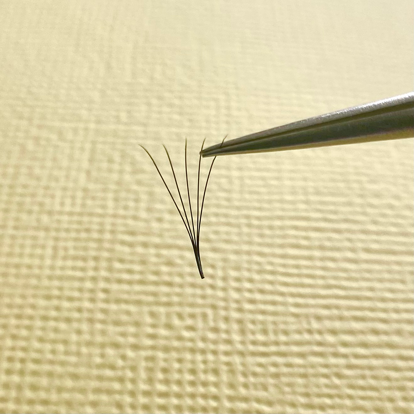 5D Promade Lash Tray image 2