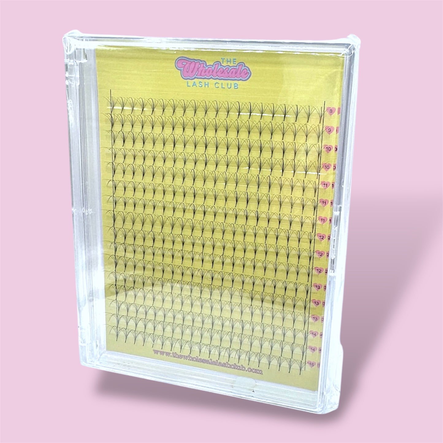 5D 0.07D Curl Wispy Premade Lash Tray image 0