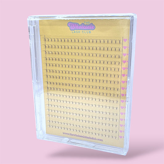 4D Premade XL Lash Tray image 0